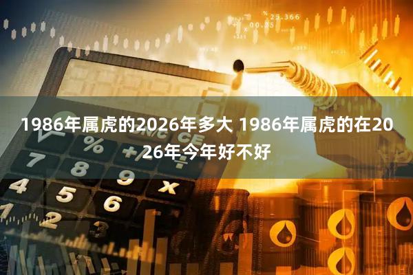 1986年属虎的2026年多大 1986年属虎的在2026年今年好不好