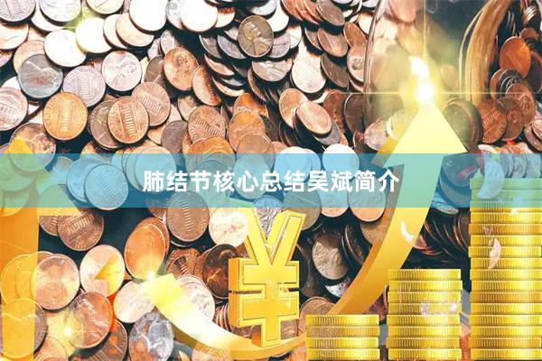 肺结节核心总结吴斌简介