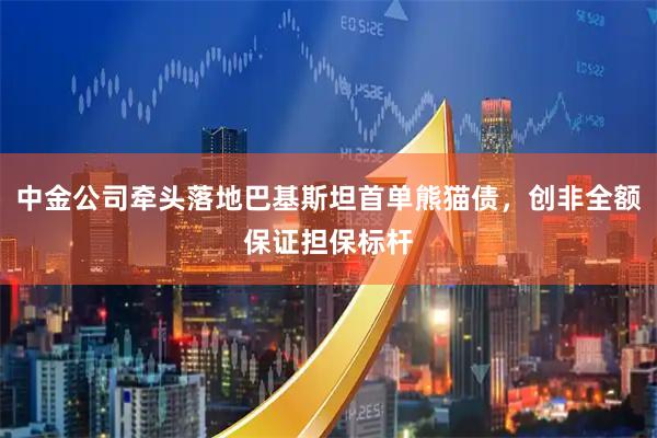 中金公司牵头落地巴基斯坦首单熊猫债，创非全额保证担保标杆